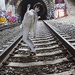 Click to enlarge Yerba Buena Model Photography